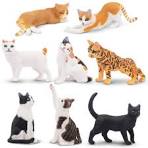 Cat Toy 1