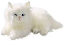 Cat Toy 3