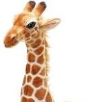 Giraffe Toy 1